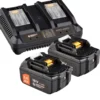 WS24 Akku Starter-Set 18 V / 2x 5,0 Ah Akku + Doppelschnellladegerät