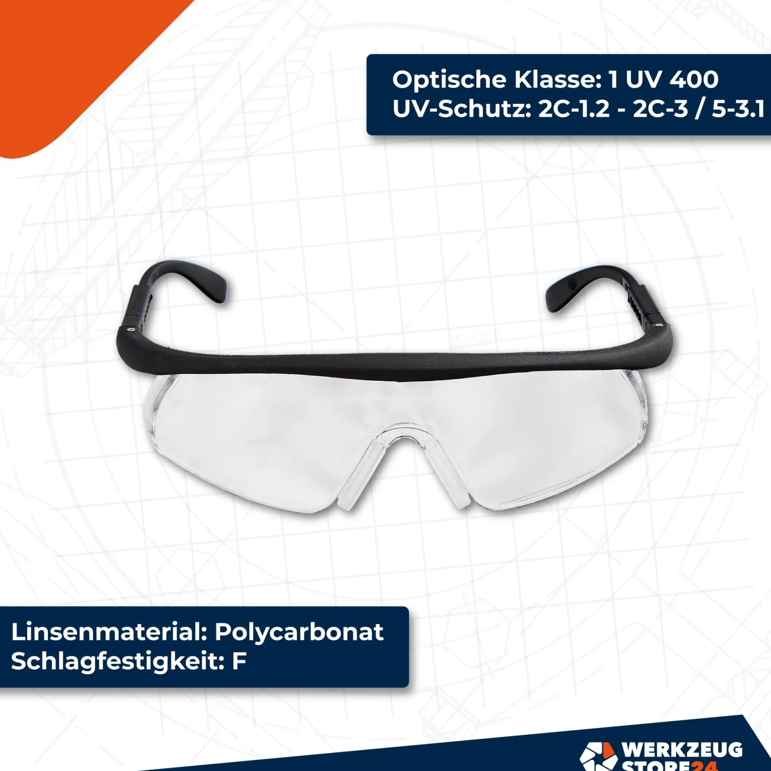 WS24 Schutzbrille in Etui - WS24-100108