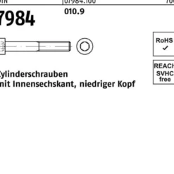 Zylinderschraube DIN 7984 Innen-6kt M10x 30 010.9 200 Stück