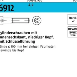 Zylinderschraube DIN 6912 Innen-6kt M8x 40 A 2 100 Stück