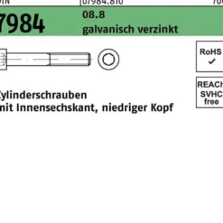 Zylinderschraube DIN 7984 Innen-6kt M10x40 8.8 galv.verz. 100St.