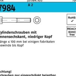 Zylinderschraube DIN 7984 Innen-6kt M8x 10 A 2 100 Stück