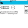 Zylinderschraube DIN 84/ISO 1207 Schlitz M8x 20 A 4 100 Stück