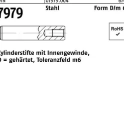 Zylinderstift DIN 7979 Innengewinde D 6x 22 Stahl gehärtet Toleranz m6 100St.